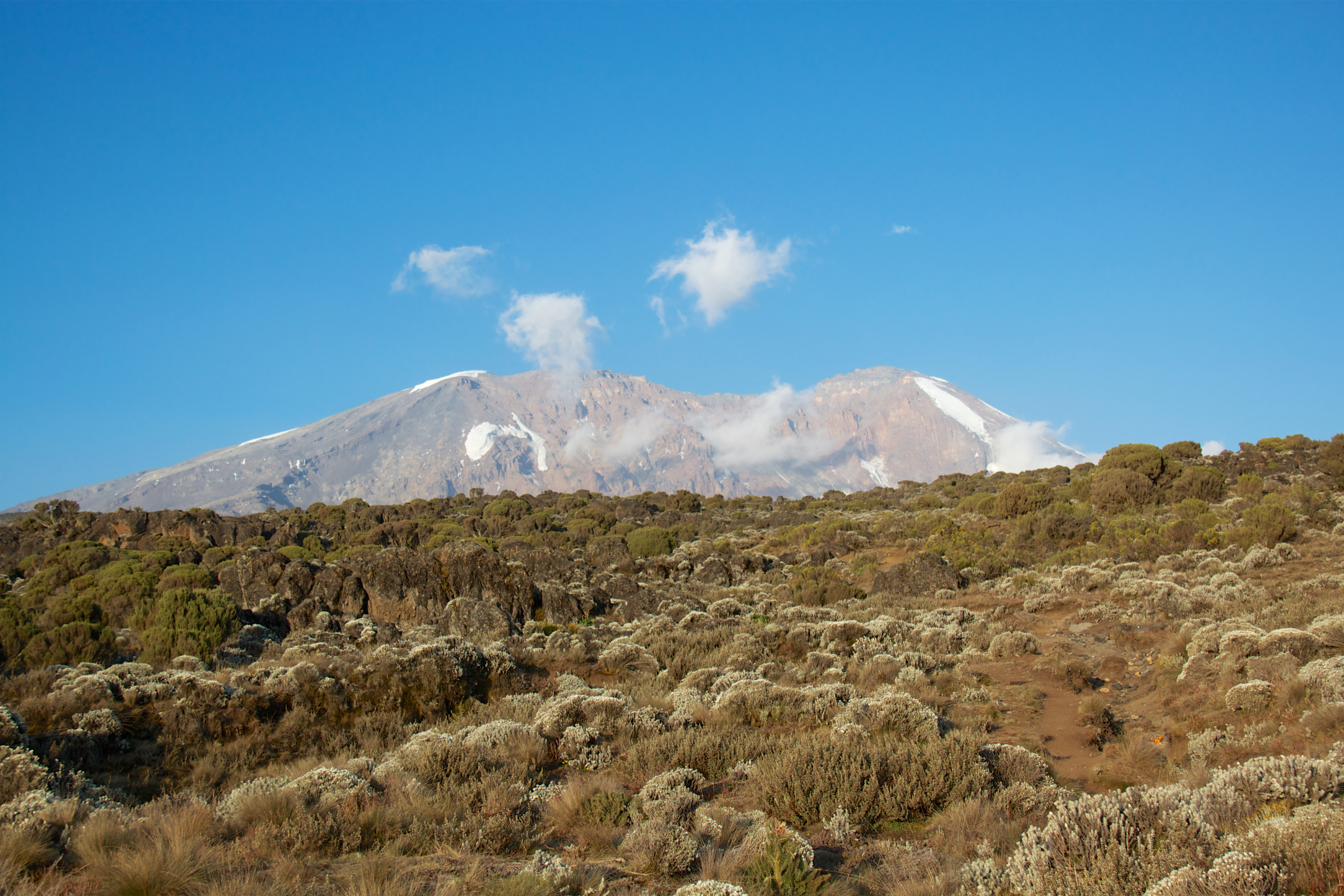 barranco camp.webp